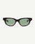 Tortoise / Green