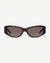 Tortoise / Brown
